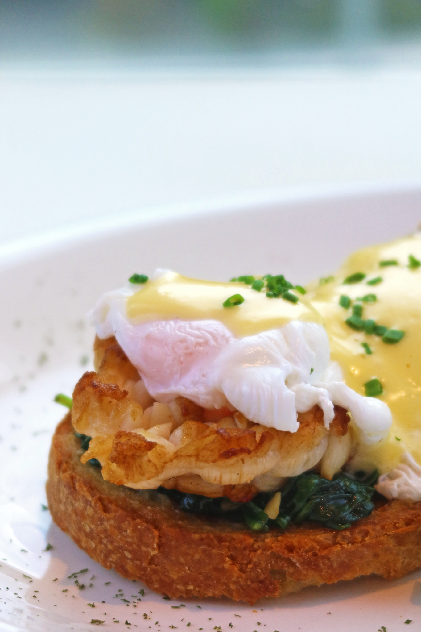 Lobster Benedict Close up_Portrait